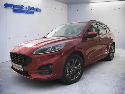 Used FORD KUGA Hybrid 2023 Ad 