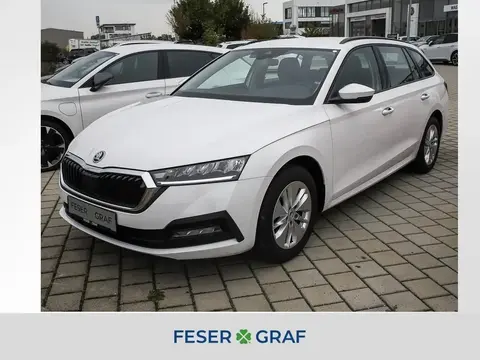 Annonce SKODA OCTAVIA Diesel 2021 d'occasion 