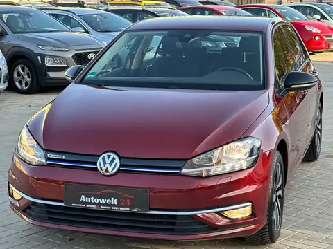 Used VOLKSWAGEN GOLF Petrol 2019 Ad 