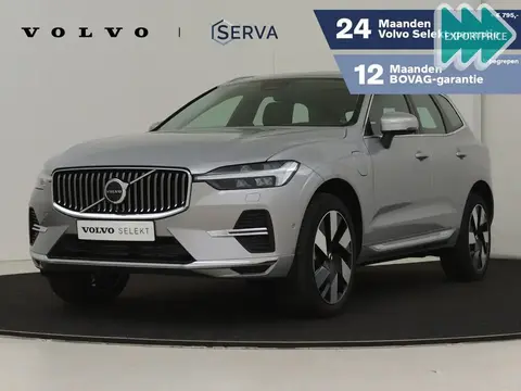 Used VOLVO XC60 Hybrid 2023 Ad 