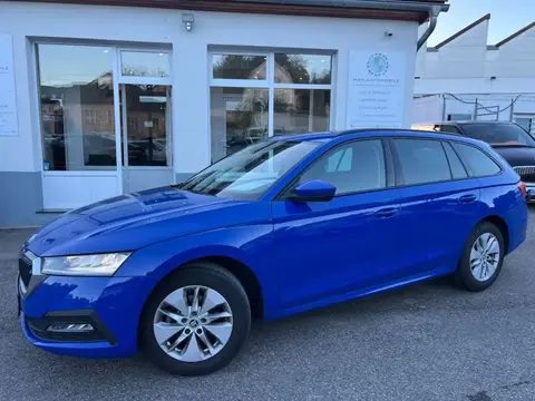 Annonce SKODA OCTAVIA Diesel 2020 d'occasion 