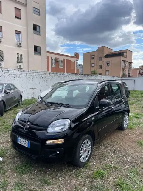 Used FIAT PANDA Petrol 2020 Ad 