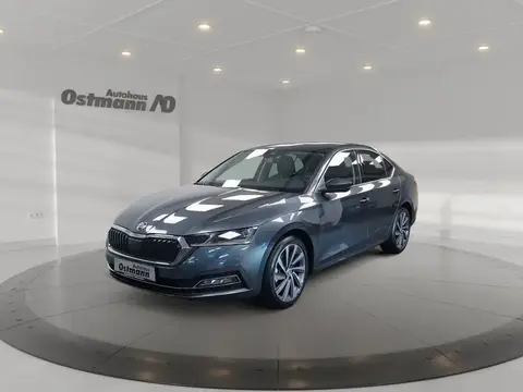 Used SKODA OCTAVIA Petrol 2020 Ad 