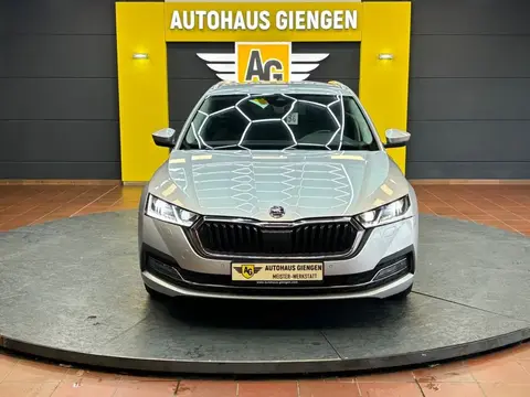 Annonce SKODA OCTAVIA Diesel 2021 d'occasion 