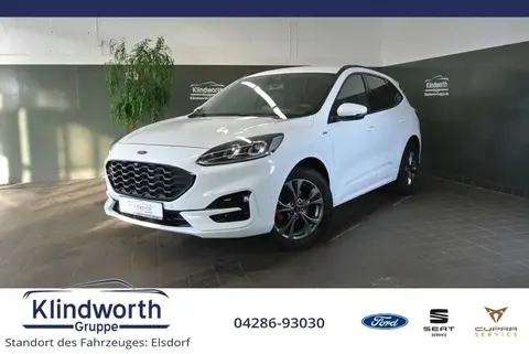 Used FORD KUGA Diesel 2021 Ad 