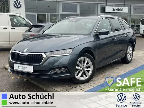 Used SKODA OCTAVIA Diesel 2020 Ad 