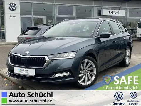 Used SKODA OCTAVIA Hybrid 2021 Ad 