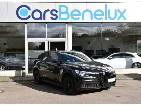 Used ALFA ROMEO STELVIO Petrol 2019 Ad 