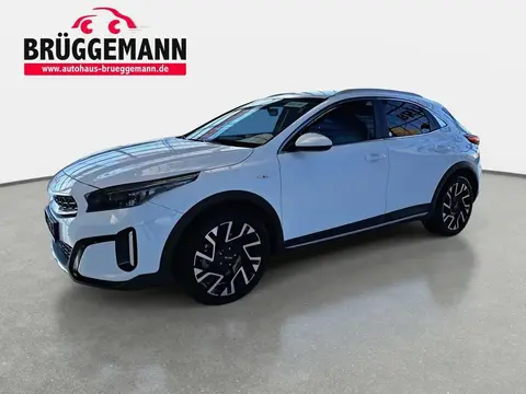 Used KIA XCEED Petrol 2022 Ad 