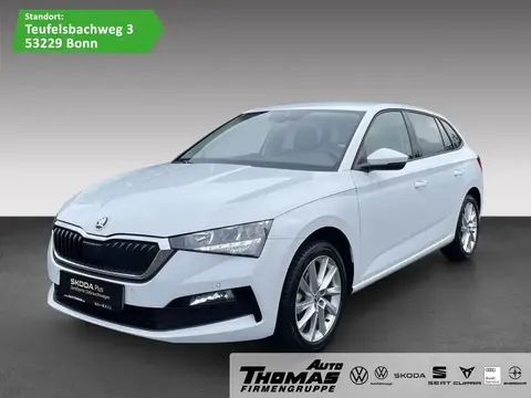 Annonce SKODA SCALA Essence 2024 d'occasion 