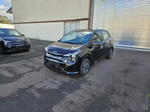 Annonce KIA PICANTO Essence 2024 d'occasion 