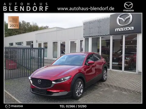 Annonce MAZDA CX-30 Essence 2022 d'occasion 