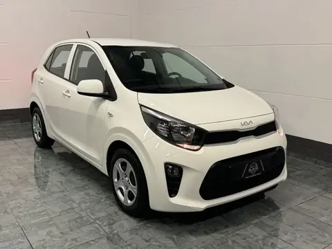 Used KIA PICANTO Petrol 2023 Ad 