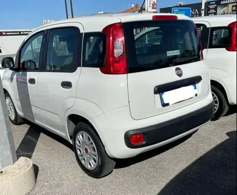 Annonce FIAT PANDA Essence 2019 d'occasion 