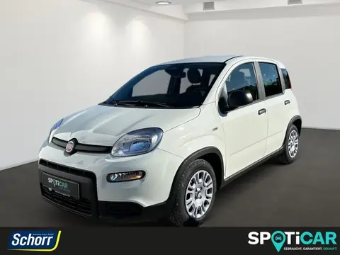 Annonce FIAT PANDA Essence 2024 d'occasion 