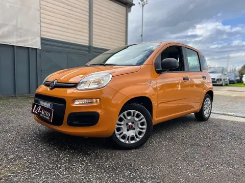 Annonce FIAT PANDA Essence 2019 d'occasion 