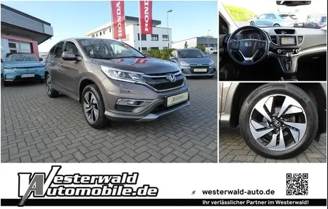 Used HONDA CR-V Petrol 2016 Ad 