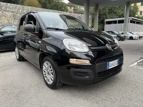 Used FIAT PANDA Petrol 2020 Ad 