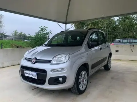 Used FIAT PANDA  2017 Ad 