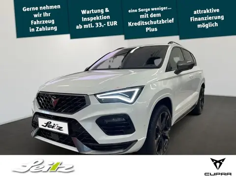 Annonce CUPRA ATECA Essence 2024 d'occasion 