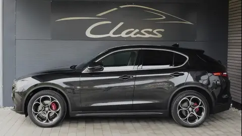 Used ALFA ROMEO STELVIO Diesel 2021 Ad 