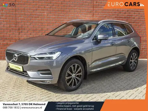 Annonce VOLVO XC60 Essence 2019 d'occasion 