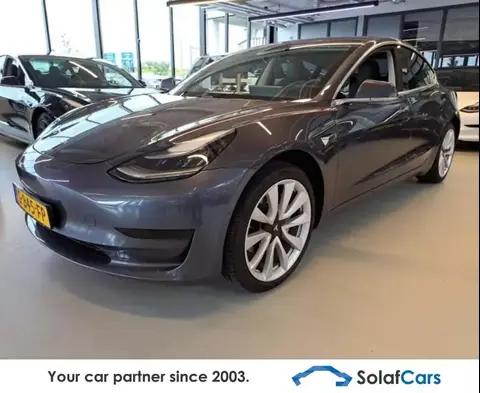 Annonce TESLA MODEL 3 Non renseigné 2019 d'occasion 