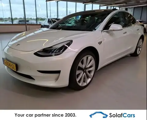 Used TESLA MODEL 3 Not specified 2019 Ad 