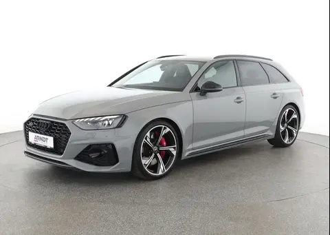 Annonce AUDI RS4 Essence 2024 d'occasion 