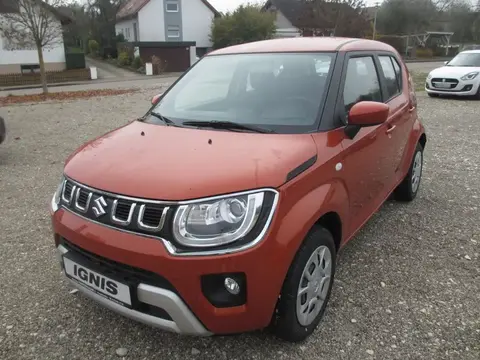 Annonce SUZUKI IGNIS Hybride 2024 d'occasion 