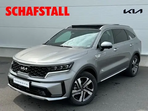 Annonce KIA SORENTO Hybride 2023 d'occasion 