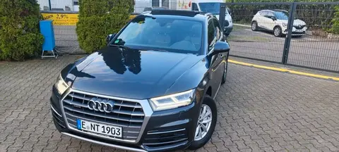 Used AUDI Q5 Diesel 2017 Ad 