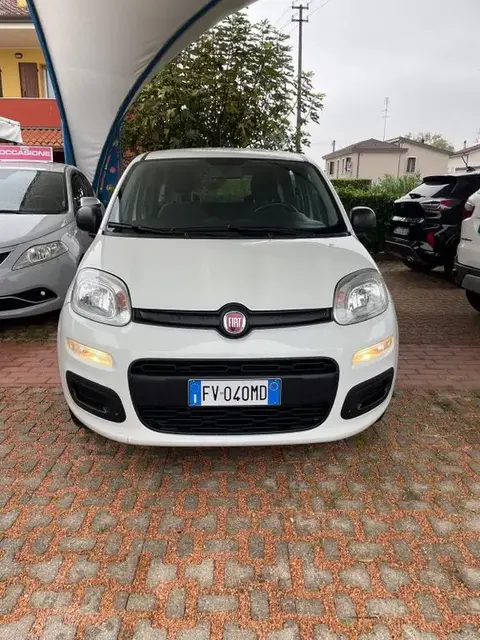 Used FIAT PANDA Petrol 2019 Ad 