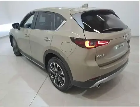 Used MAZDA CX-5 Petrol 2023 Ad 