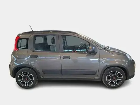 Used FIAT PANDA Hybrid 2021 Ad 