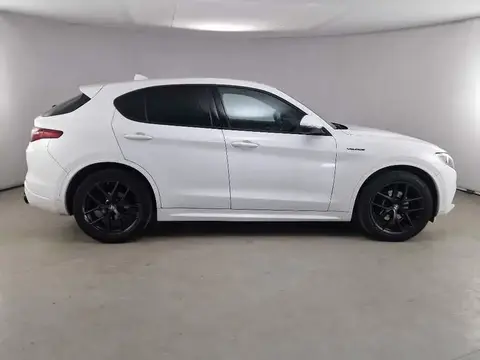 Used ALFA ROMEO STELVIO Diesel 2020 Ad 