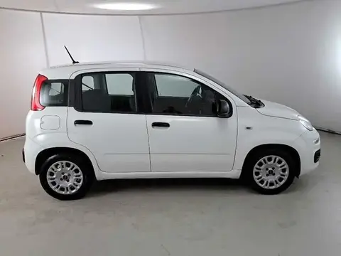 Annonce FIAT PANDA Hybride 2020 d'occasion 