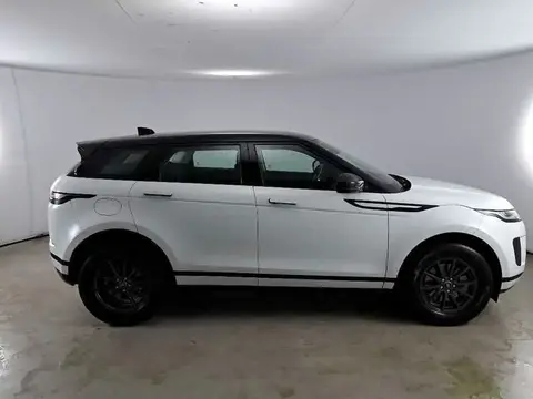 Used LAND ROVER RANGE ROVER EVOQUE Hybrid 2019 Ad 