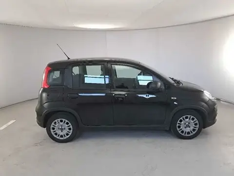 Annonce FIAT PANDA Hybride 2024 d'occasion 