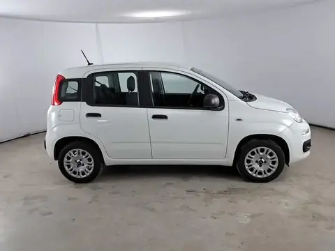 Used FIAT PANDA Petrol 2020 Ad 