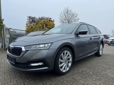 Used SKODA OCTAVIA Hybrid 2022 Ad 