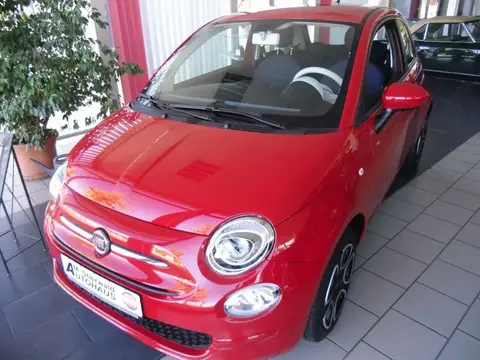 Used FIAT 500 Petrol 2022 Ad 