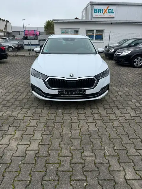 Used SKODA OCTAVIA Diesel 2020 Ad 