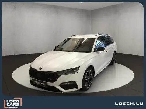 Annonce SKODA OCTAVIA Diesel 2023 d'occasion 