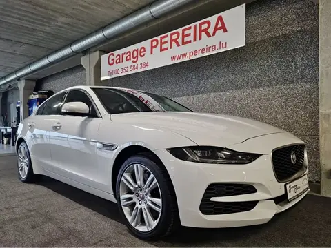 Used JAGUAR XE Petrol 2019 Ad 