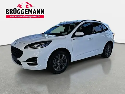 Annonce FORD KUGA Essence 2024 d'occasion 