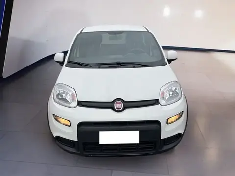 Annonce FIAT PANDA Hybride 2022 d'occasion 