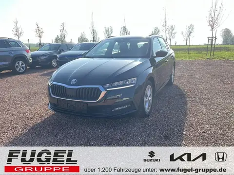 Used SKODA OCTAVIA Diesel 2020 Ad 