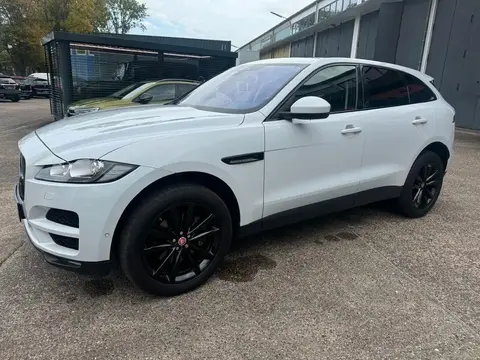 Used JAGUAR F-PACE Diesel 2016 Ad 