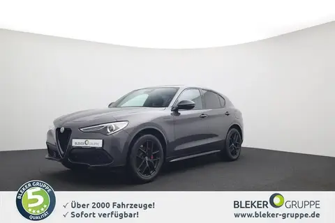 Used ALFA ROMEO STELVIO Diesel 2021 Ad 